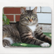 KITTY! Mousepad mousepads