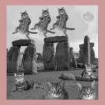 Kitty Night at Stonehenge posters
