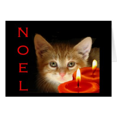 Kitty noel with candles greeting cards