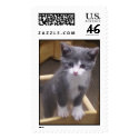 Kitty on Upside Down Kitchen Chair postage by Jakestuff Kitty on Upside Down Kitchen Chair postage