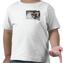 Kitty Paperweight Toddler Shirt