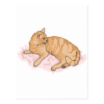 kitty post cards