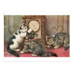 Kitty Post Cards