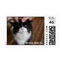 Kitty Postage Stamps