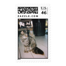 Kitty postage by flash_2005 Kitty postage
