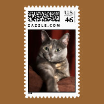 kitty postage by iiiyaaa kitty postage