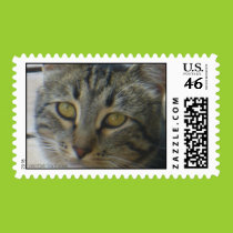 Kitty Postage stamps