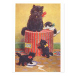 Kitty Postcard