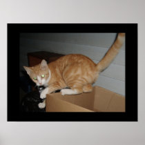 kitty posters