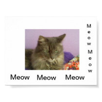 Kitty Poster