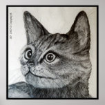 Kitty Posters