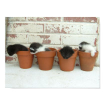 Kitty Pots Poster posters by Squidwoman Kitty Pots Poster posters