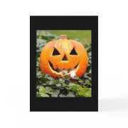 kitty pumpkin card