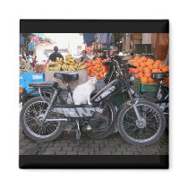 Kitty ready to the market magnets