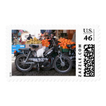 Kitty ready to the market postage