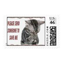 Kitty Rescue Postage