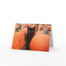 KITTY 'ROCKS' HALLOWEEN cards