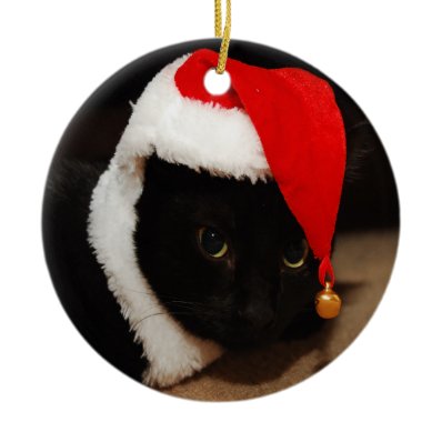 Kitty Santa ornament