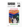 Kitty Scream Postage Stamp with Scream Text