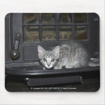 KITTY SHOTS'S II  2 mousepads