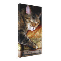 Kitty Sleep Book Wrapped Canvas Stretched Canvas Print
