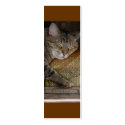 Kitty Sleep Bookmark business cards