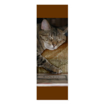 Kitty Sleep Bookmark business cards