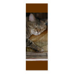 Kitty Sleep Bookmark Business Card Template