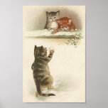 Kitty Snowball Fight posters