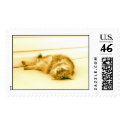 Kitty soft postage