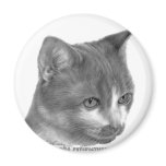 Kitty, Tabby Cat Refrigerator Magnets