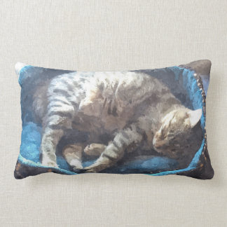 cat nap pillow