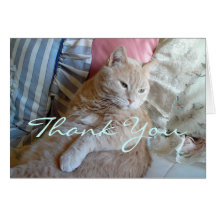 Kitty Thank You Card