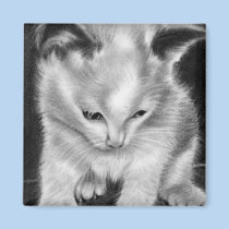 Kitty toy kitten Magnet magnets