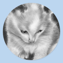Kitty toy kitten Sticker stickers