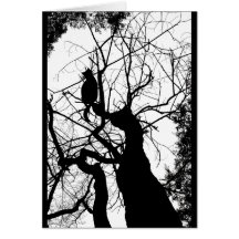 KITTY TREE SILHOUETTE B&W CARDS