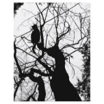 KITTY TREE SILHOUETTE B&amp;W FLYER DESIGN