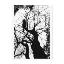 KITTY TREE SILHOUETTE B&W POSTCARD
