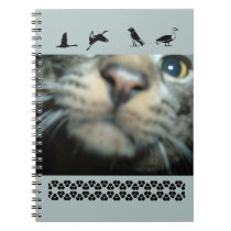 Kitty View notebooks