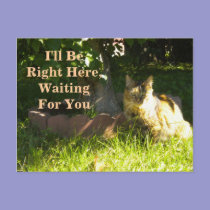Kitty Waiting/Missing You Postcard postcards