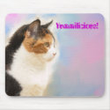 Kitty wants a mouse mousepads