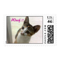 Kitty Woof postage