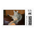 Kitty_Yoga postage by Lajko1 Kitty_Yoga postage