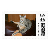 Kitty_Yoga postage
