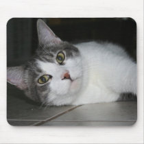 Kittycat mousepads