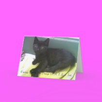 Kittylove Notecards