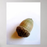KIW Sparks: Acorn Print