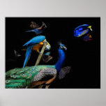 KIW Sparks: Dazzling Creatures Poster