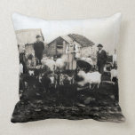 norway, farm, family, history, vintage, lineage,