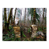 KIW Sparks: Toward the Other Side Posters
